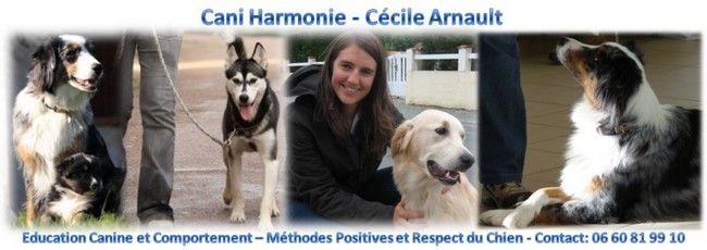 Cani-Harmonie - Éducatrice Canin